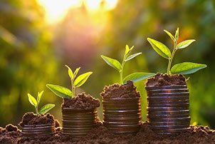 Seedlings growing from stacks of coins